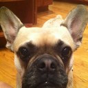 Melissa Robillard - @melissarobil - Twitter