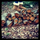 sophia ackerman - @sophia_ackerman - Twitter