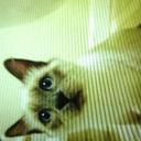 Ray Shapiro - @Ray_Shapiro - Twitter