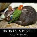 Grismary Aure (@grisma_aure) Twitter
