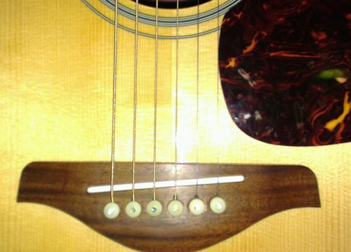 _curticon's profile picture. 