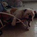 Luis Borrego - @planetax2010 - Twitter