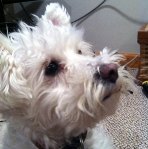 JuanRBalboa's profile picture. 