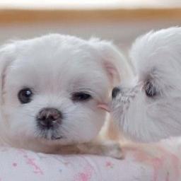 SCM_N3ws's profile picture. 