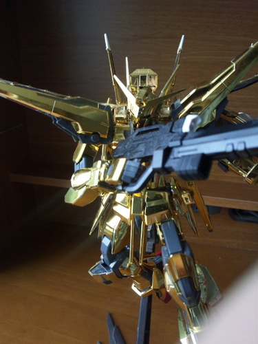 卓球、ガンダム、フルメタ、デジモン好き