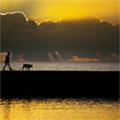 dorotheacousins's profile picture. I crash on UUUU