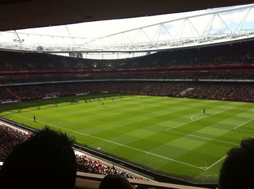 femogatu's profile picture. 