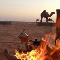 عاشق البر (@sfs85101512) Twitter profile photo