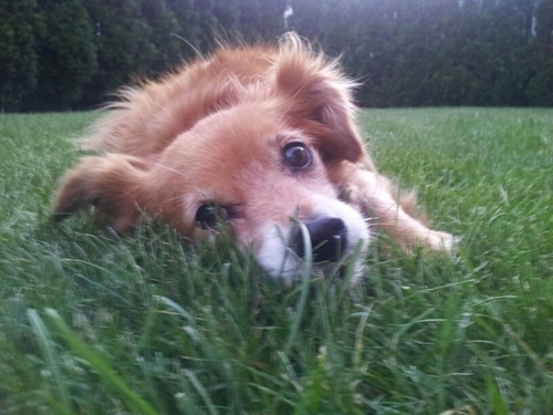 mins1968's profile picture. 