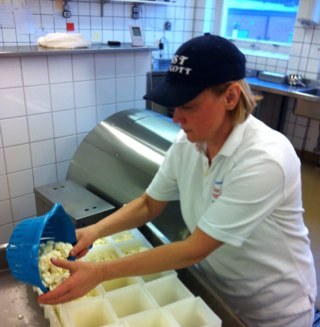 Småskalig mejerist. Artisan cheesemaker. Fromagère.