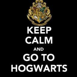Harry Potter photographer