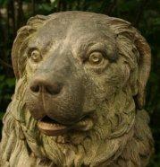 thesykofant's profile picture. i just would like to know what do you thing about some political/social topics & share with you my ideas or questions