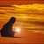 Humorist, Artist, Spiritual Evolutionist, Mother, Seeker, Optimistic Cynic, Wanderer, Capricious Logician, ...