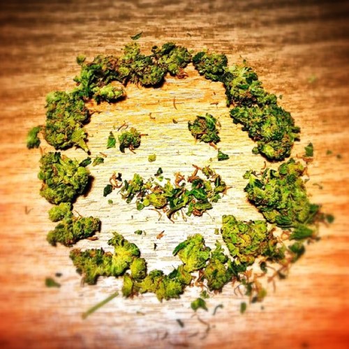 TheBigSchmoke's profile picture. 