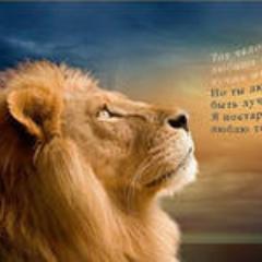 kertnet's profile picture. 