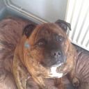 Jay Oakley - @Jano54321 - Twitter