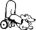 Veterinarian and Inventor of K9 Cart Dog Wheelchairs
