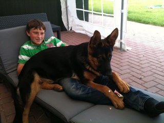 ton33636638's profile picture. Ajax4live