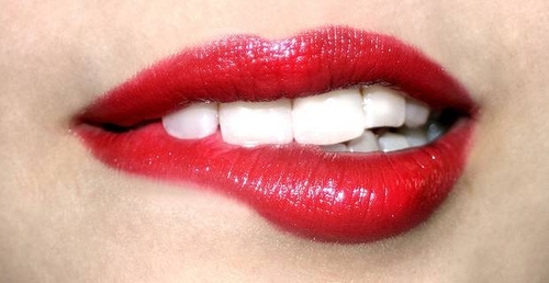 Pornopiraten's profile picture. Wollust unter dem Deckmantel der Demokratie