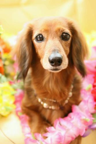 mignonne57's profile picture. 