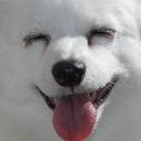 Stanley Crowe - @CroweStanley - Twitter