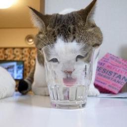 面白なるほどツイートbot Omosirotuimato Twitter