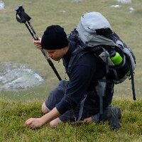 Holger Drewes (@holgerd77) 's Twitter Profile