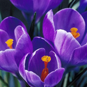 Debbie Hester - @debih1210 - Twitter