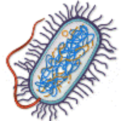 rexcornelius's profile picture. Cybrarian emeritus. Strict agnostic. Disappointed by humans in general. ND before it was cool. he/him