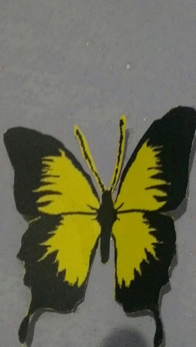 alimugawwim's profile picture. 