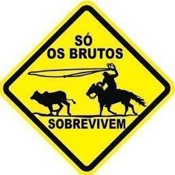 Ser gaúcho nao é opção geográfica, é filosofia de vida.