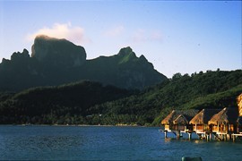 bruce9923's profile picture. 