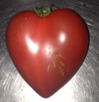 味よし です よろしくお願いします
