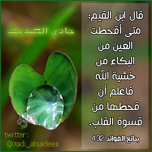 7adi_alsadee8's profile picture. حساب تويتر الخاص بخدمة حادي الصديق على البلاك بيري مسنجر