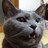 nekotter_'s profile image