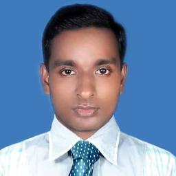 WordPress web developer