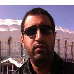 Sport writer