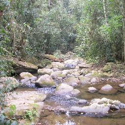 É triste pensar que a natureza fala e que o genero humano não a ouve!