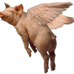 PIG - Partido da Imprensa Golpista. Status: Nervosinha - Membro do @ClubeFollowBack