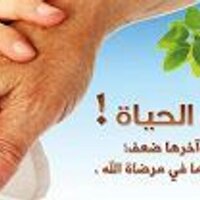 t.a.a.q (@taaq4) 's Twitter Profile