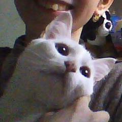 CotokVizya's profile picture. Люблю поесть и поиграть)