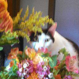 Entrepreneur, wife, mother, daughter, slave to pets, boss, CEO, CFO,
