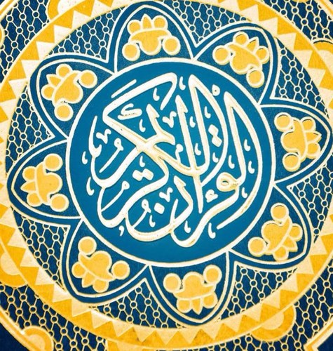 Umsaleh2's profile picture. 