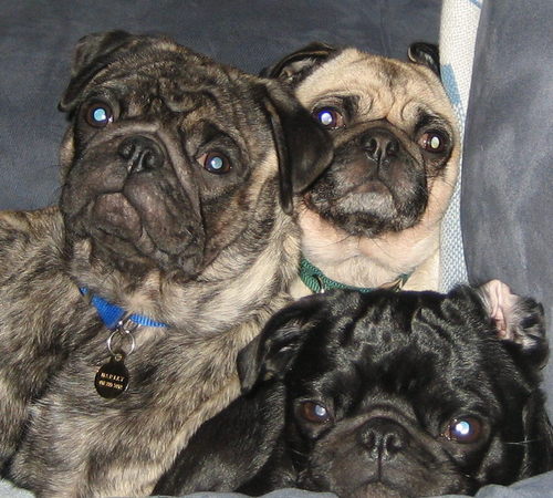 SEexchange's profile picture. Changing the world one student at a time