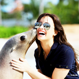 Meu αmor não será pαssαgeiro te αmαrei de Jαneiro α Jαneiro αté o mundo αcαbαr @ddlovato † Donas: Jéeh e Polly ... follow me?