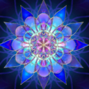 Robin Heath - @rrhdragonfly - Twitter
