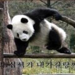 Bamboo0002's profile picture. 계폭 2번째/일베/내가 언제 열심히 하겠다고 말이나 했습니까?/뉴제네/삼국지 와룡전설 해외 서버 /뒹굴팬더