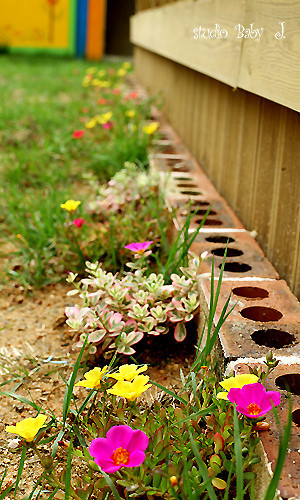 hahahasoyun's profile picture. 이쁜이멋쟁이귀요미랑 알콩달콩 정읍에서 소꿉놀이하는 엄마