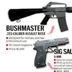 NRASchoolShield's profile picture. This is not an official NRA account. It's parody and social commentary.