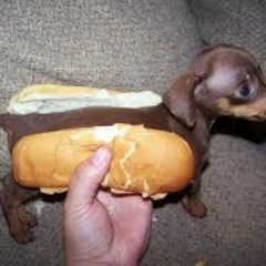 kietpieter's profile picture. 